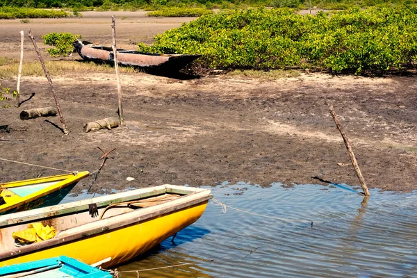 Canoas Barcos Coloridos Atracados Rio Paraguacu Saubara Bahia — Fotografia de Stock