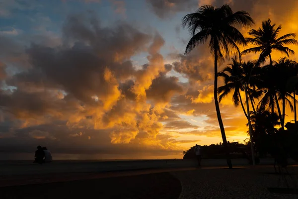 Arbres Silhouettés Contre Coucher Soleil Jaune Dramatique Ville Salvador Bahia — Photo