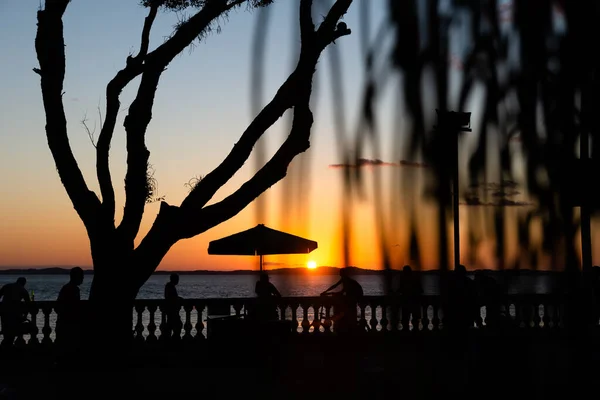 Silueta Atardecer Árbol Parada Autobús Gente Caminando Borde Porto Barra — Foto de Stock