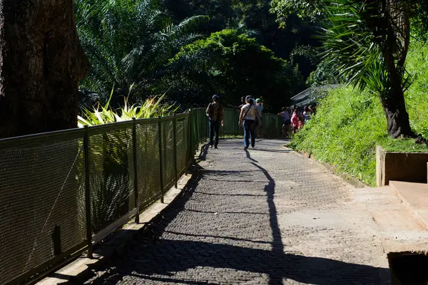 Salvador Bahia Brezilya Eylül 2014 Getulio Vargas Zoobotanico Park Veya — Stok fotoğraf