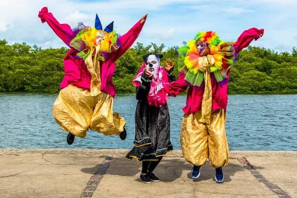 Maragogipe, Bahia, Brezilya - 04 Mart 2019: Carnaval de Maragojipe Brezilya 'nın Bahia eyaletinin Maragogipe şehrinde her yıl düzenlenen geleneksel bir karnaval festivali..