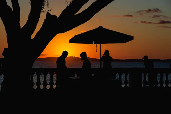 Salvador Bahia Brésil Juin 2021 Silhouette Coucher Soleil Arbre Arrêt — Photo