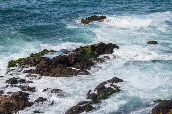 Des Vagues Océaniques Brisent Sur Les Rochers Plage Salvador Bahia — Photo