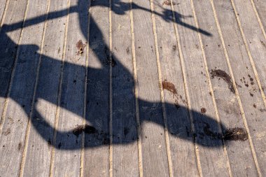 İskelenin ahşap zeminine yansıyan bir insanın gölgesi. Salvador, Bahia, Brezilya.