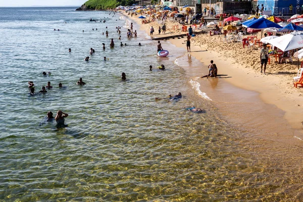 Salvador, Bahia, Brezilya - 31 Aralık 2021: Boa Viagem plajında yüzenler Salvador şehrinde güneşin tadını çıkarıyorlar, Bahia, Brezilya.