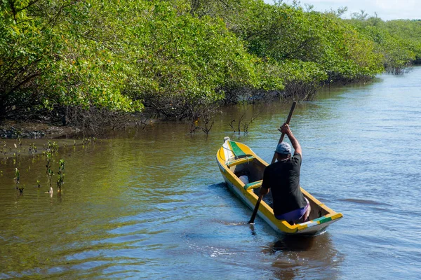Maragogipinho, Bahia, Brezilya - 15 Haziran 2018: Maragogipinho, Bahia, Brezilya 'daki Jaguaripe Nehri' nde balık tutmak için kanoda duran balıkçı.