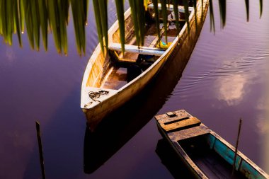 Tekne nehirde ağaçların arasında durdu. Nilo Pecanha, Bahia, Brezilya.