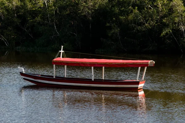 小船在森林的背景下停靠在河边 Nilo Pecanha 巴西巴伊亚州 — 图库照片