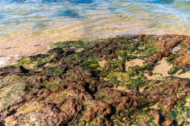 Okyanus dalgaları plaj taşlarına çarpıyor. Salvador, Bahia, Brezilya.