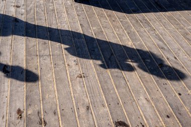 İskelenin ahşap zeminine yansıyan bir insanın gölgesi. Salvador, Bahia, Brezilya.