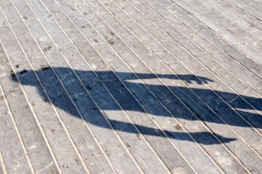 İskelenin ahşap zeminine yansıyan bir insanın gölgesi. Salvador, Bahia, Brezilya.