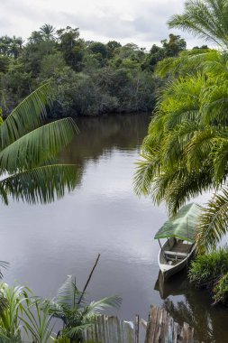 Tekne nehirde ağaçların arasında durdu. Nilo Pecanha, Bahia, Brezilya.