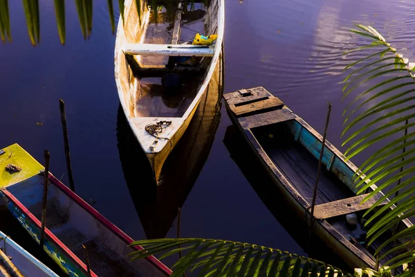 小船停靠在树间的河边 Nilo Pecanha 巴西巴伊亚州 — 图库照片