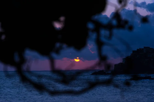 Dramática Puesta Sol Playa Entre Hojas Árboles Con Colores Vibrantes — Foto de Stock