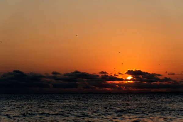 Dramatic Sunset Beach Vibrant Colors Salvador Bahia Brazil — ストック写真