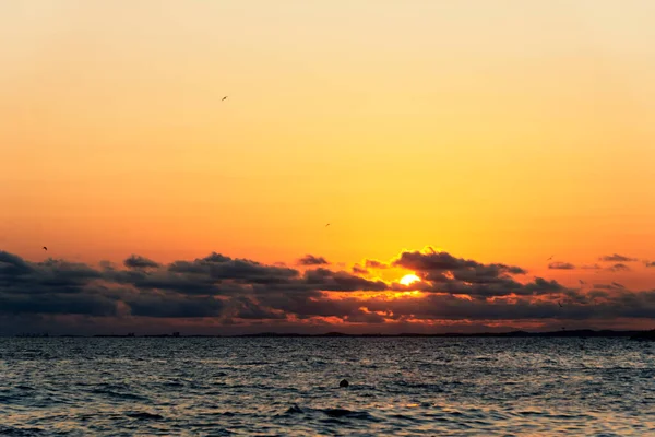 Dramatischer Sonnenuntergang Strand Mit Leuchtenden Farben Salvador Bahia Brasilien — Stockfoto