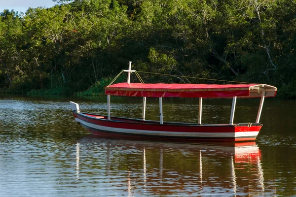 Boat Stopped River Forest Background Nilo Pecanha Bahia Brazil — ストック写真