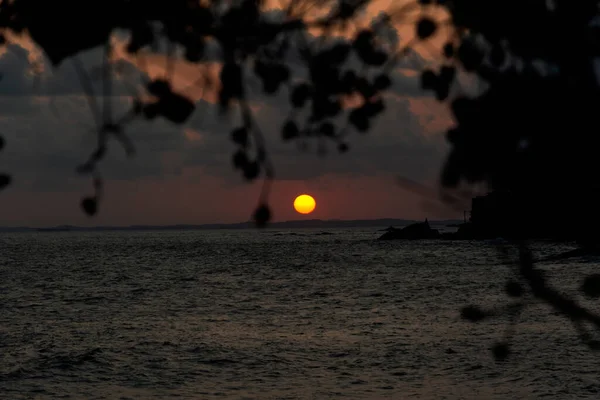 Dramatischer Sonnenuntergang Strand Zwischen Bäumen Mit Leuchtenden Farben Salvador Bahia — Stockfoto