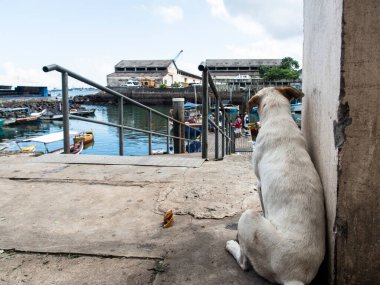 Salvador, Bahia, Brezilya - Nisan 06, 2019: Brezilya 'nın Bahia eyaletinde Salvador' da Sao Joaquim fuarının sokaklarında yürüyen insanların görüntüsü.
