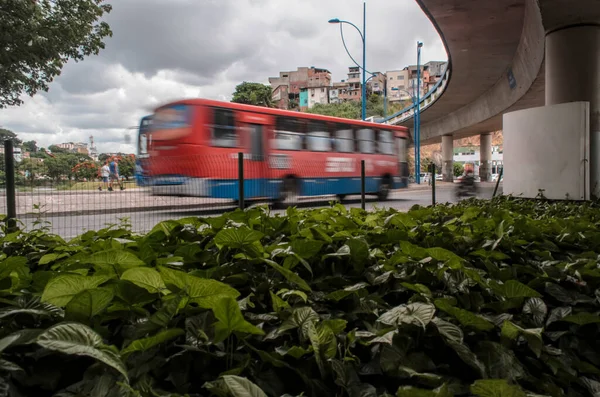 Autobús Capturado Movimiento Baja Velocidad Calle Ciudad Salvador Bahia Brasil — Foto de Stock