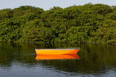 Brezilya 'nın Bahia kentindeki Maragogipinho kentindeki Jaguaripe Nehri' ne kano ve tekneler yanaştı..