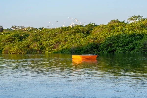 Canots Bateaux Amarrés Sur Rivière Jaguaripe Maragogipinho Ville Aratuipe Bahia — Photo