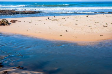 Brezilya 'nın Bahia eyaletindeki Salvador' da Boca do Rio plajına akan nehrin manzarası.