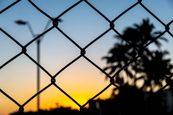 Sílhueta Grade Arame Árvores Poste Contra Pôr Sol Amarelo Azul — Fotografia de Stock