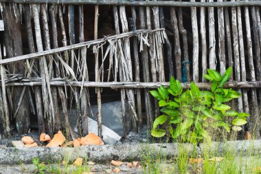 Brezilya 'nın Bahia kentindeki Aratuipe şehrinde seramik inşaatın çömlek cephesi.