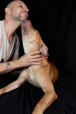 Siyah arka planda sahibini okşayan pitbull köpeği portresi. Salvador, Bahia, Brezilya.