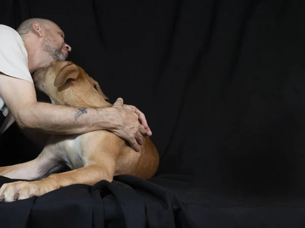 Retrato Perro Pitbull Acariciando Dueño Sobre Fondo Negro Ciudad Salvador — Foto de Stock