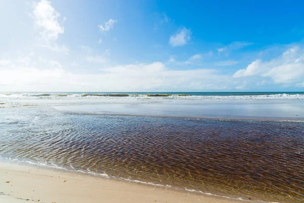 Meeting of the sea and the river on the deserted beach against blue sky with clouds. Praia do Guaibim, coast of the sea of Bahia, Brazil