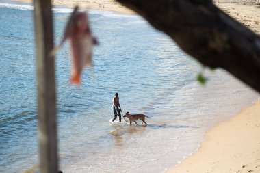 Salvador, Bahia, Brezilya - 01 Kasım 2021: Genç adam köpekle birlikte Salvador, Bahia 'daki Rio Vermelho plajında yürüyor.