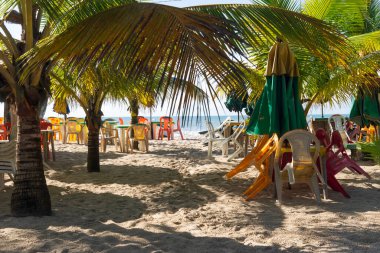 Valenca, Bahia, Brazil - June 23, 2022: View of Praia do Guaibim with its coconut trees and umbrella on a sunny day in the city of Valenca, Bahia.