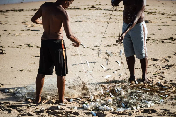 Salvador Bahia Brazil November 2021 Two Fishermen Collecting Fishing Net — Stock Fotó