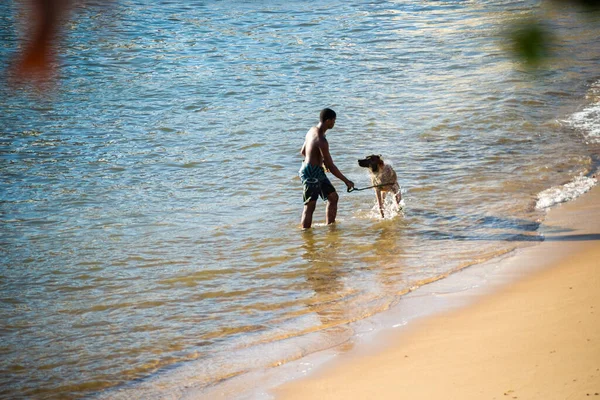 Salvador Bahia Brazil November 2021 Young Man Walks Dog Sands — Stockfoto