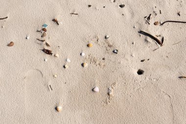 Beach sand filled frame with rocks and twigs. Guaibim beach in the city of Valenca, Bahia, Brazil.