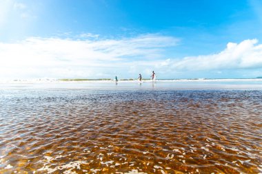 Reddish water of a river against the blue sky. Guaibim beach, coast of the sea of Bahia, Brazil