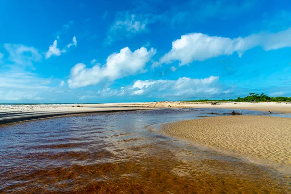 Червона Вода Ріки Проти Блакитного Неба Пляж Гайбім Узбережжя Баїя — стокове фото