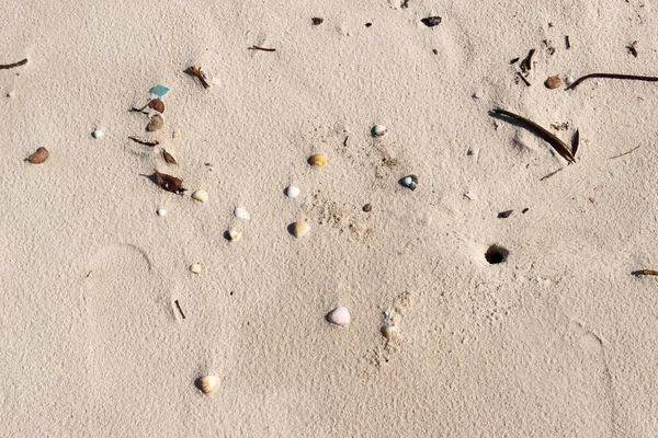 Beach Sand Filled Frame Rocks Twigs Guaibim Beach City Valenca — Stockfoto