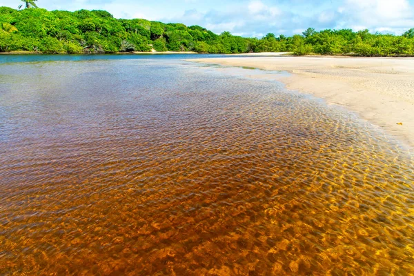 Reddish Water River Forest Blue Sky Background Guaibim Beach Coast — Stok fotoğraf