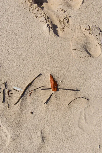 Beach Sand Filled Frame Rocks Twigs Guaibim Beach City Valenca — Stock Fotó