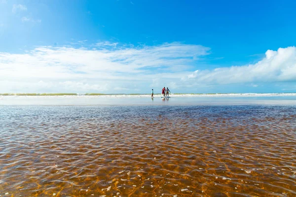 Reddish water of a river against the blue sky. Guaibim beach, coast of the sea of Bahia, Brazil