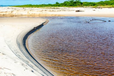 Reddish water of a river against the blue sky. Guaibim beach, coast of the sea of Bahia, Brazil
