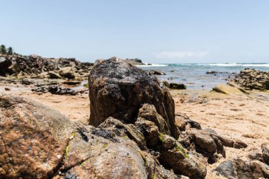 The sea beach and the rocks are polluted with oil. A crude oil spill in northeast Brazil has affected the environment. Pedra do Sal Beach, Salvador, Brazil.