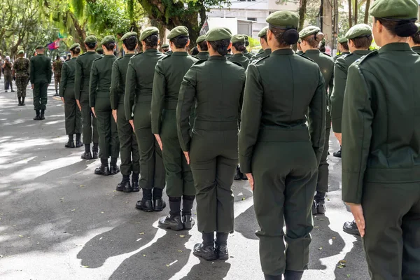Salvador Bahia Brazil September 2022 Women Soldiers Brazilian Army Parading — Stok fotoğraf