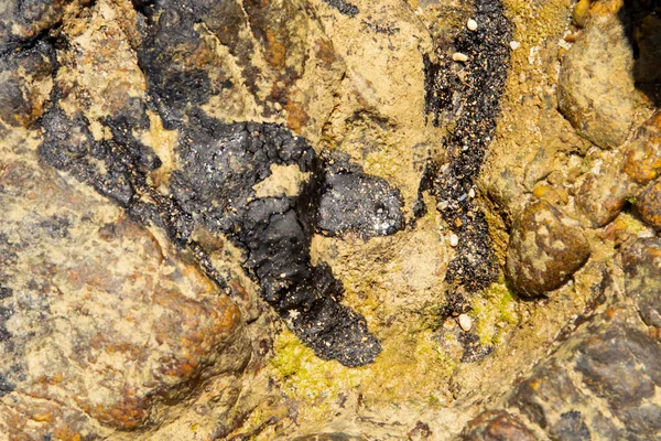 Sea Beach Rocks Polluted Oil Crude Oil Spill Northeast Brazil — Stock fotografie