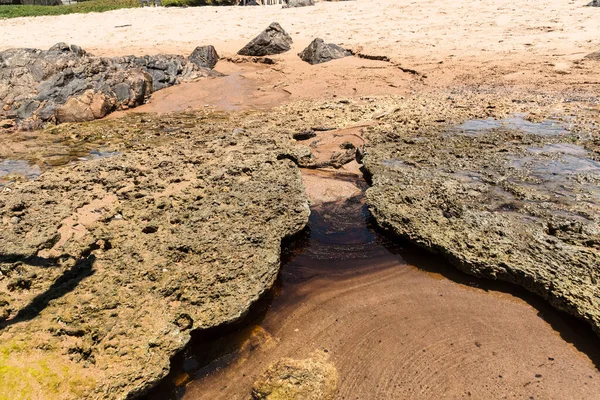 Sea Beach Rocks Polluted Oil Crude Oil Spill Northeast Brazil — Stock Fotó