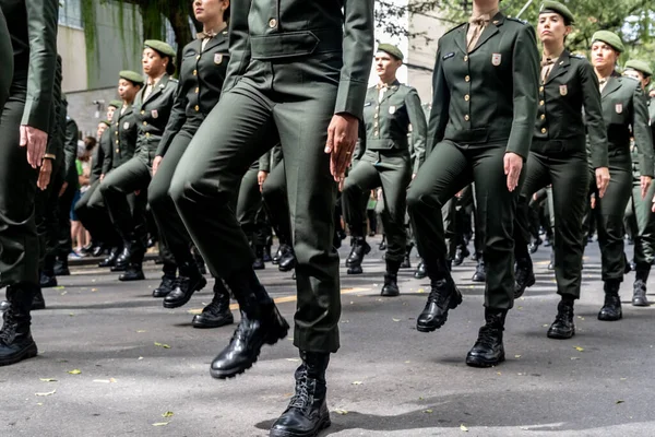 Salvador Bahia Brazil September 2022 Women Soldiers Brazilian Army Parading — Φωτογραφία Αρχείου