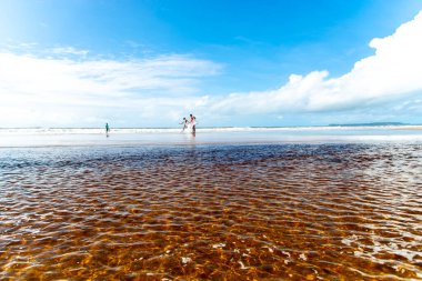 Reddish water of a river against the blue sky. Guaibim beach, coast of the sea of Bahia, Brazil
